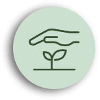 Cuidado de una planta joven