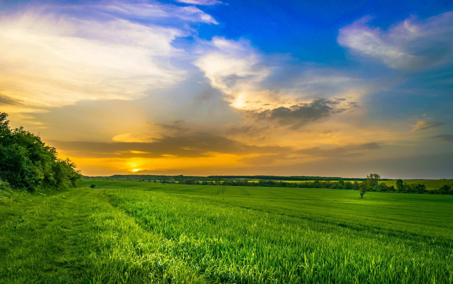 Campo de hierba verde bajo un cielo nublado durante el día