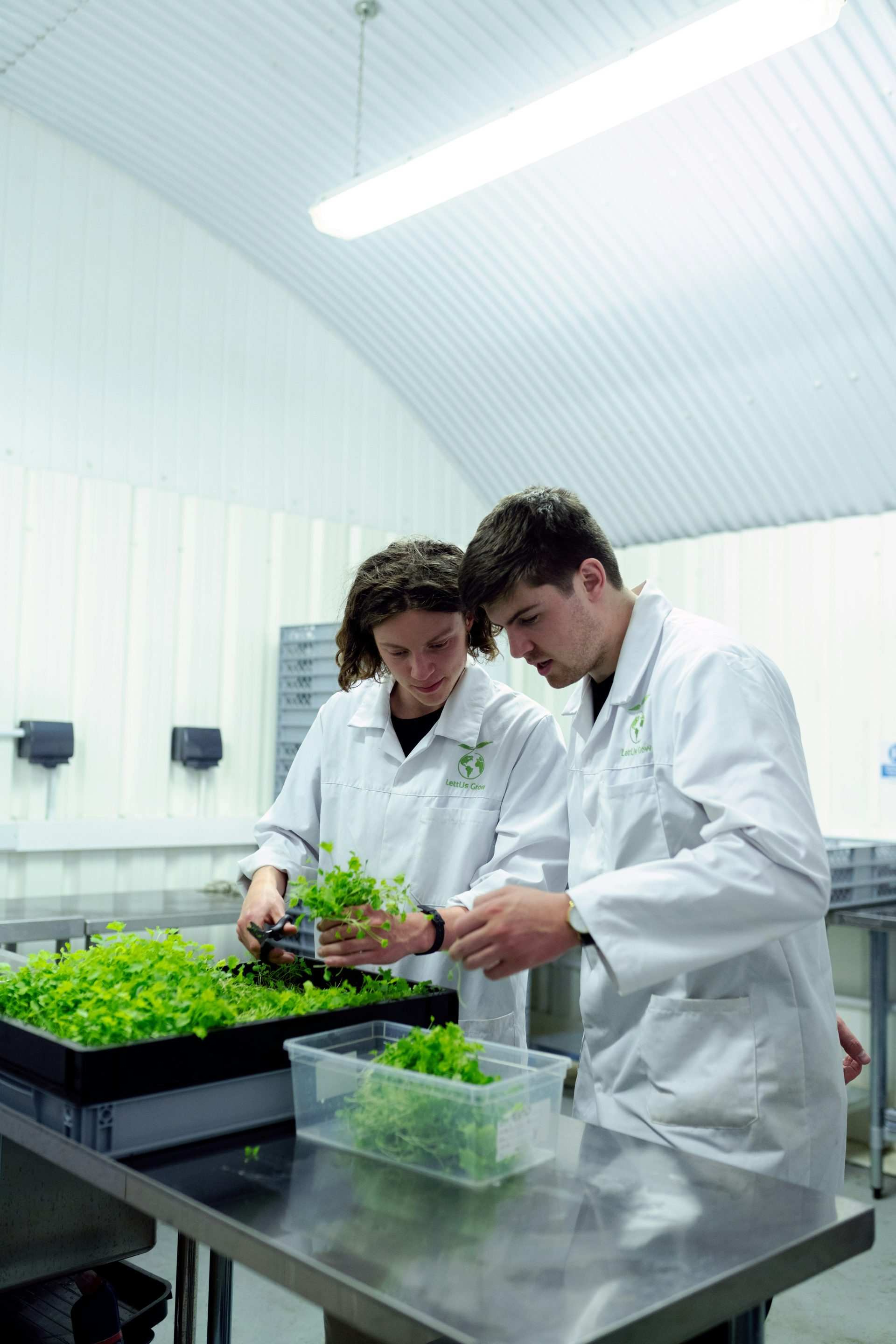 Dos hombres con camisa blanca sosteniendo una planta verde